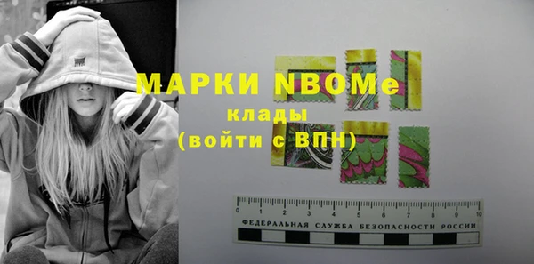 стаф Киренск