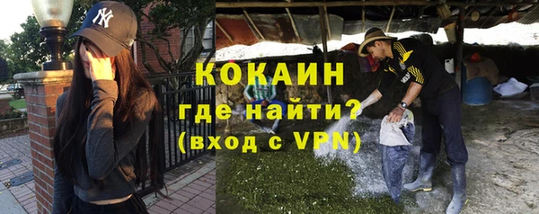 стаф Киренск